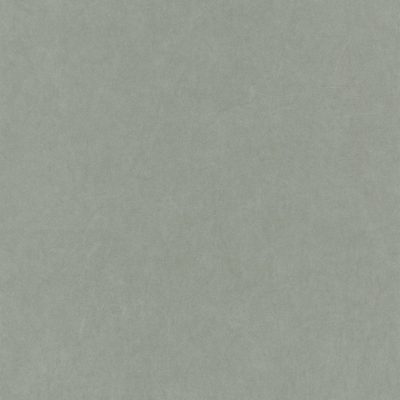 CASADECO_82387117.1